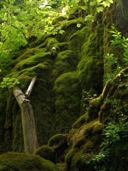 View of Veil Falls,Ammergau Alps,Upper Bavaria,Germany