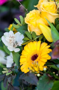 Colorful mixed flowers bouquet with various flowers for Valentine's Day and Mother's Day
