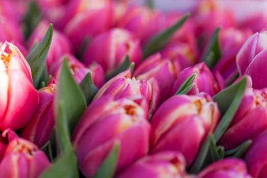 Colorful mixed flowers bouquet with various flowers for Valentine's Day and Mother's Day