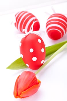 decorative red tulips season flowers at Easter decorated with Easter eggs insulated against white background