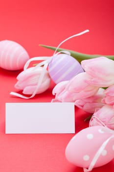 pink tulips decorated with easter eggs as a close-up with text space on a red background