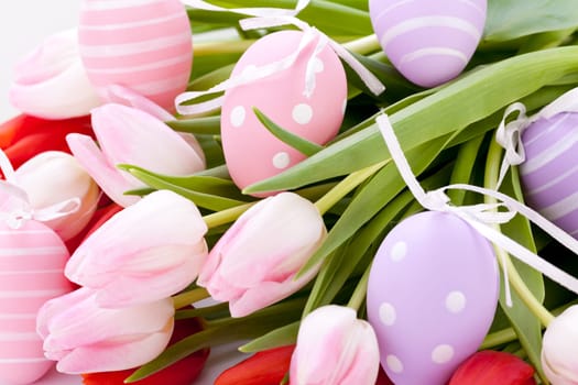 Pink and red tulips for Easter Mother's Day Valentine's Day with Easter eggs close up isolated on white background