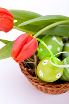 Shöne Easter red tulips with green Easter eggs in an Easter nest isolated against a white background