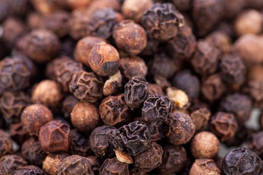 colorful dried peppercorns spice pepper close-up grains