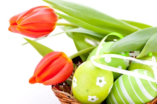 Shöne Easter red tulips with green Easter eggs in an Easter nest isolated against a white background