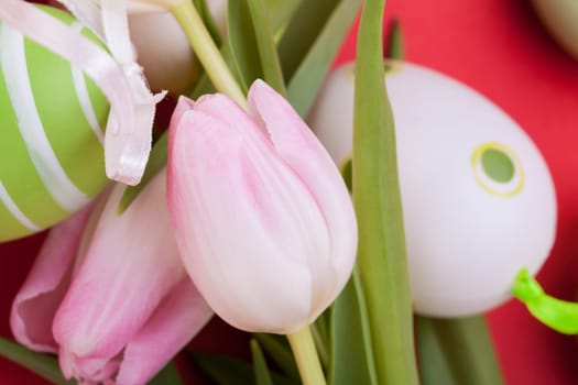 pink tulips decorated with easter eggs as a close-up with text space on a red background