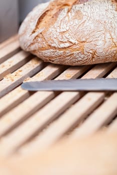 freshly baked crispy bread detail with whole grain object food