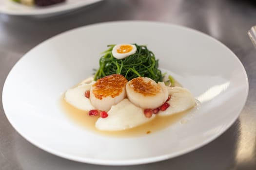 gourmet food with scallops and quail eggs and puree prepared with sauce