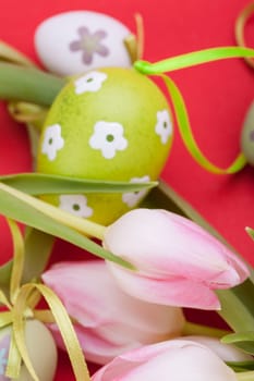 pink tulips decorated with easter eggs as a close-up with text space on a red background