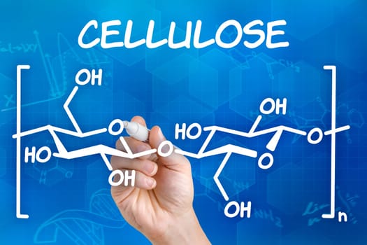 Hand draws chemical structural formula of cellulose