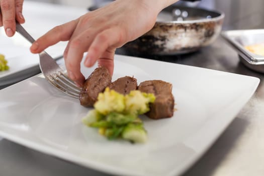 fresh fillet prepared with fine sauce in the restaurant kitchen gastronomy gourmet eat