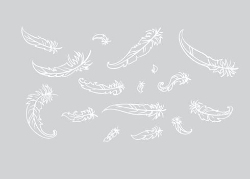 vector illustration of feather