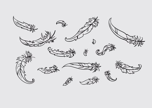 vector illustration of feather