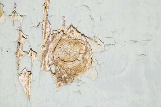 Vintage Door Wood Painted Peeling Texture on a Sunny Day