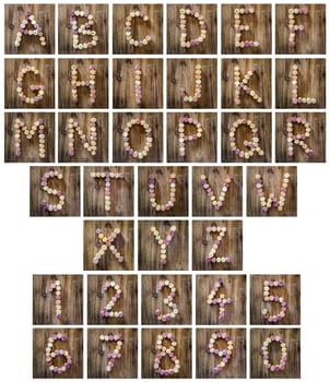 Alphabet letters and numbers made from wine corks in vintage style