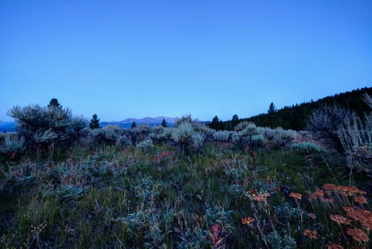 Morning in Colorado Rockies