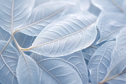 An exquisite display of artistry, capturing the intricate and mesmerizing patterns formed by frost on windows, leaves, and various surfaces through the lens of macro photography, resulting in striking and abstract visual compositions.