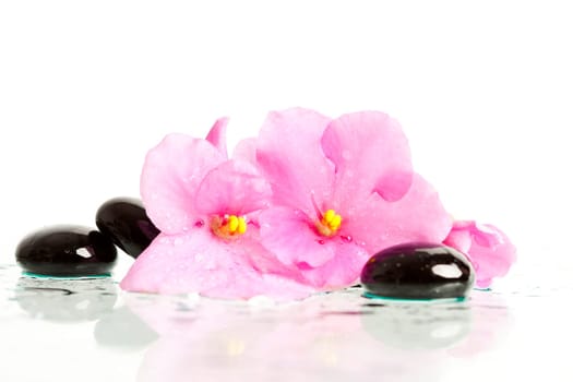 Black and white spa stones with reflection