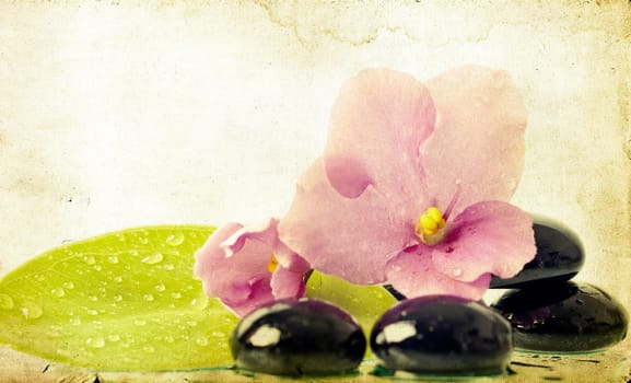 Black and white spa stones with reflection