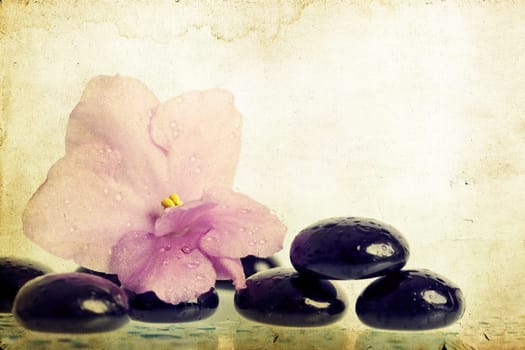 Black and white spa stones with reflection