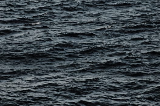 Blue Still Sea Water With Ripple. Natural Background Photo Texture