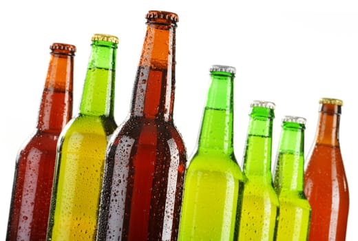 Bottles of beer isolated on white background