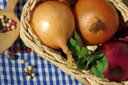 Kitchen onion - Allium cepa