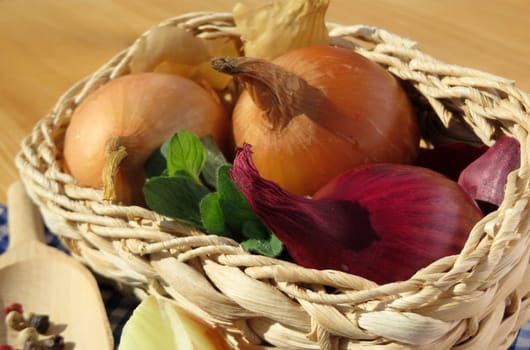 Kitchen onion - Allium cepa