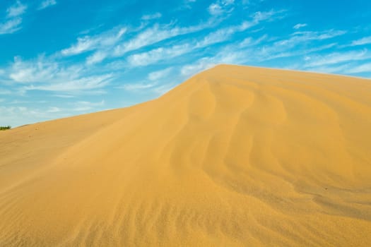 Desert landscape with a dry tree branch and green vegetation on top of a small sand hill