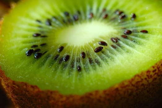 Kiwi 02