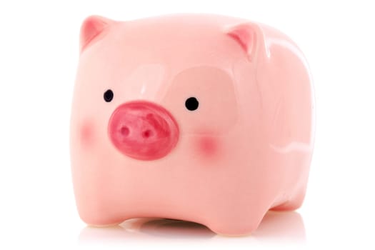 Pink piggy bank with reflection on white background