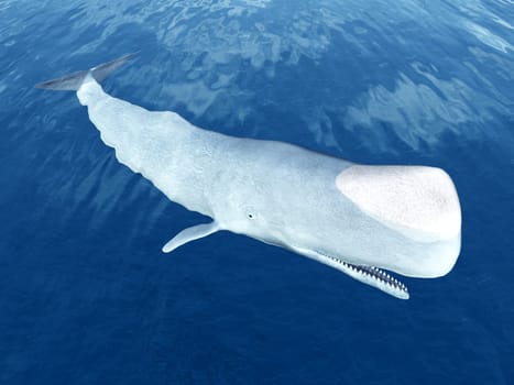 Computer-generated 3D illustration with a sperm whale