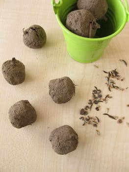 Seed bombs