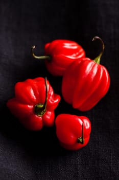 Closeup of four round red chili peppers on dark background