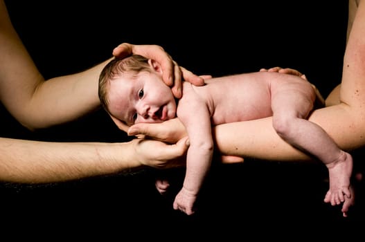 A little newborn baby is carried on the mother's hand and behaved by father's skins and looks contented,exposed against a black background.