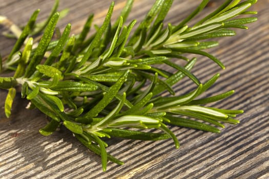 Rosemary branch on rustic wooden base