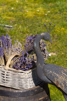 Lavender in a basket on wine barrel next to metal sculpture