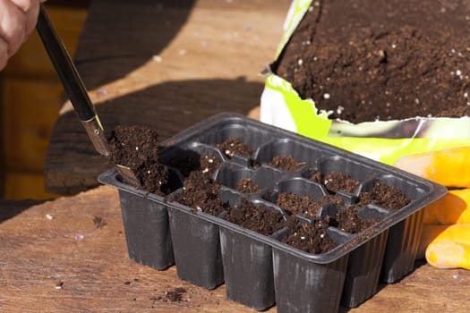 Herbal seeds with potting soil in pflanschale