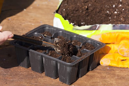 Put potting soil in planting bowls