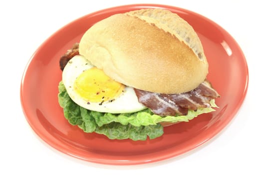 a bun covered with fried egg,bacon and salad
