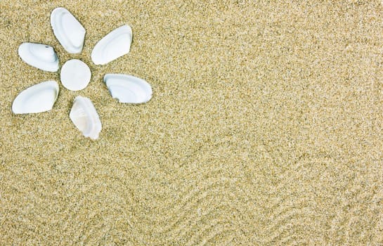 Holliday concept - Frame with seashells and sand