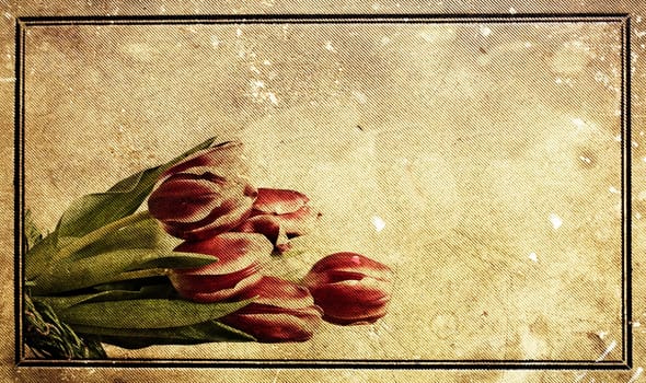 Red tulips over grunge painted background