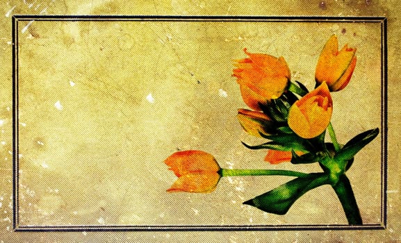 Red tulips over grunge painted background