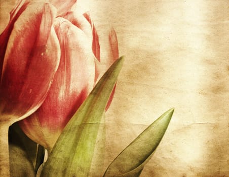 Red tulips over grunge painted background