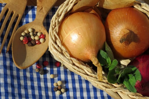 Kitchen onion - Allium cepa