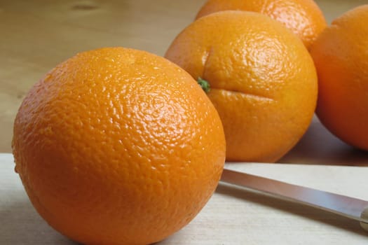 Orange - Citrus sinensis