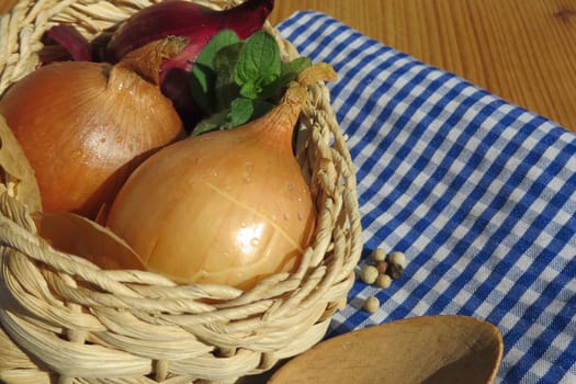 Kitchen onion - Allium cepa
