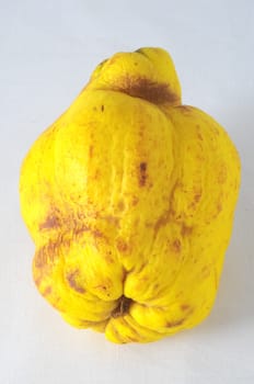 Very Ripe Healthy cedar on a White Background