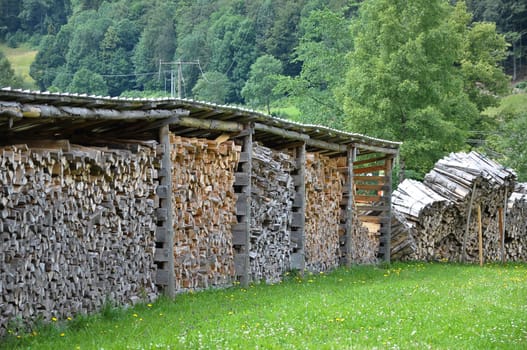 Pile of wood