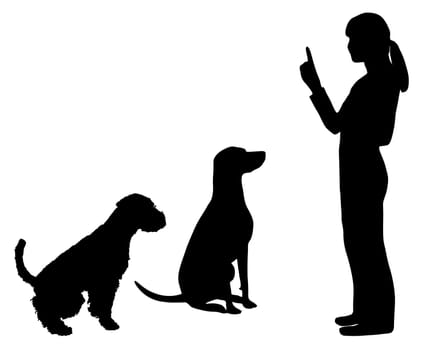 Dog education